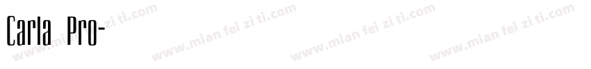 Carla Pro字体转换